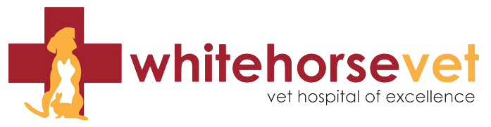 Whitehorse Veterinary Hospital | 231 Whitehorse Road, Blackburn, Victoria 3130 | +61 3 9878 3033