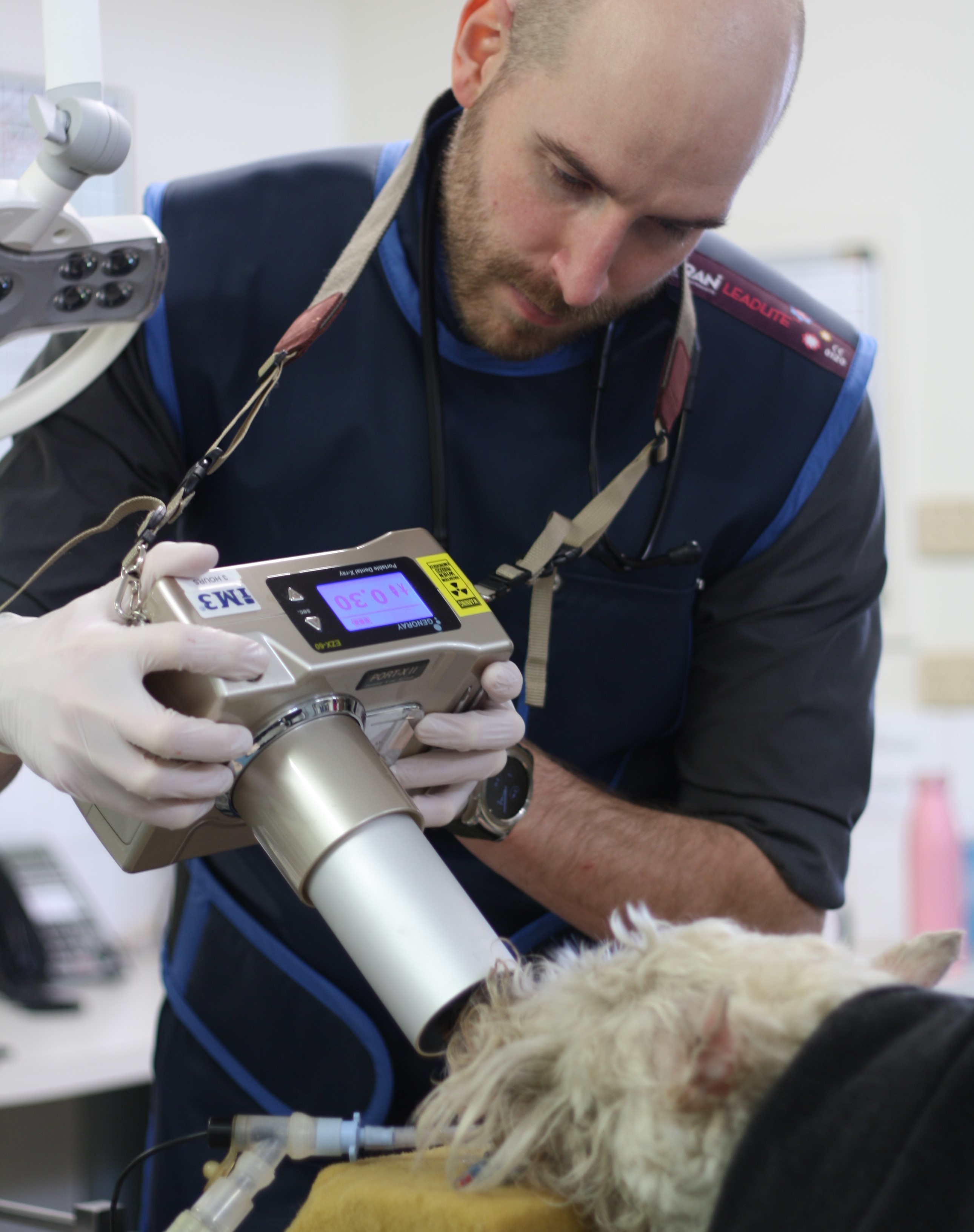 Veterinary Imaging at Whitehorse Veterinary Hospital