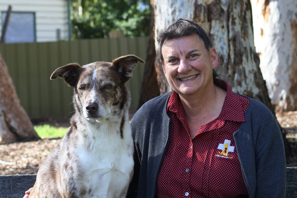 Health Care Services Whitehorse Veterinary Hospital