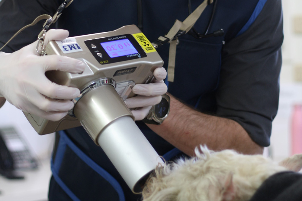 Technical Services at Whitehorse Veterinary Hospital