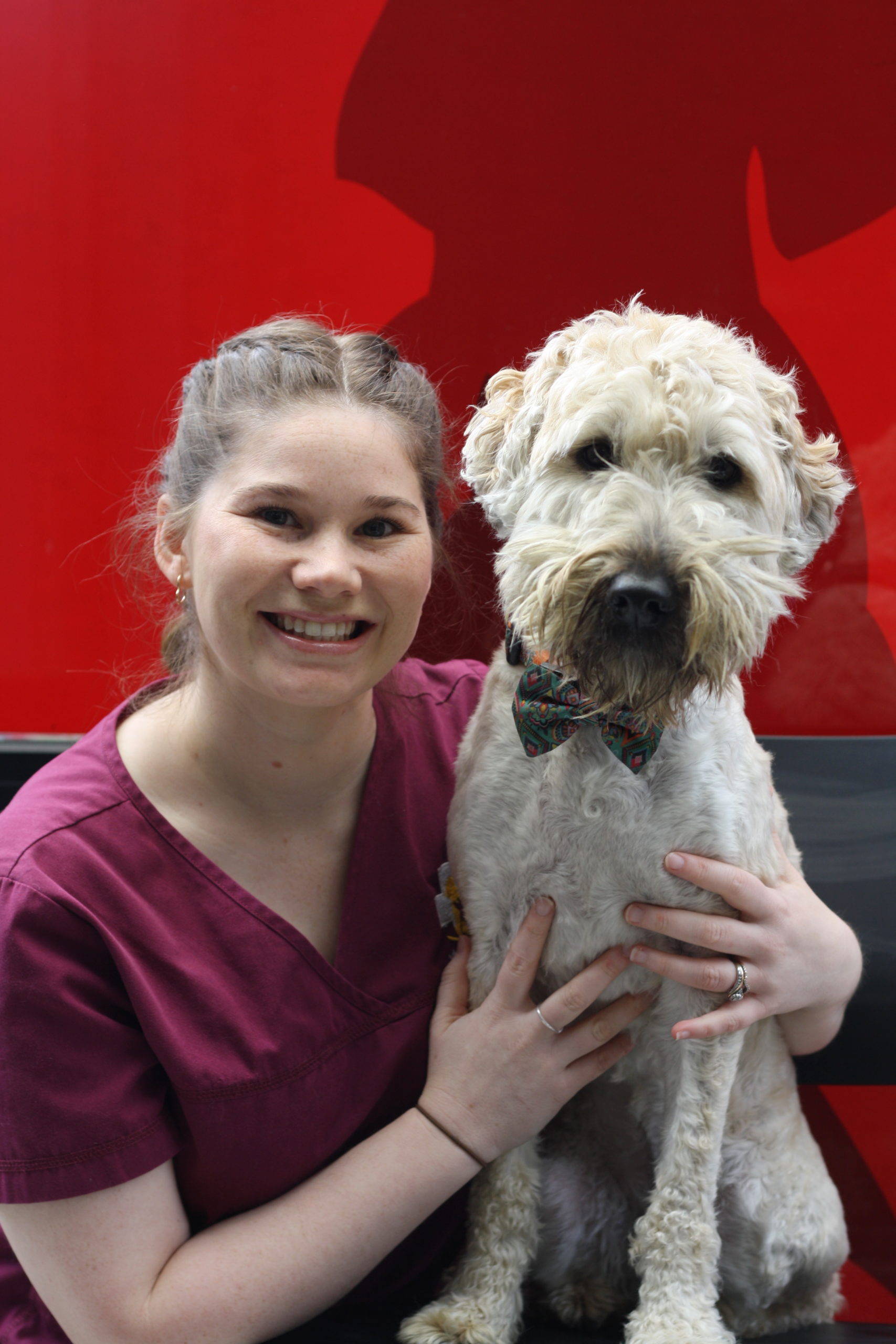 Whitehorse Vet - About Us - Rachael & Ivy